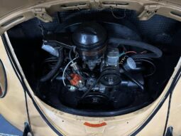 VW Limousine 1/11 De Luxe