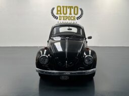 VW 1200 Standard
