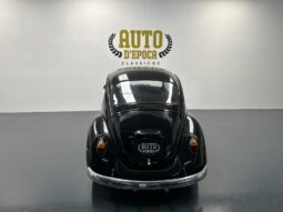 VW 1200 Standard